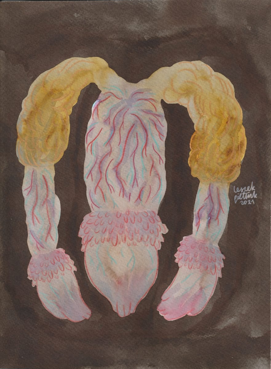 penis-with-pearly-penile-papules-10-2021-nsfw